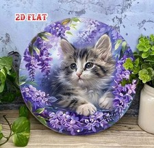 Adorable Tabby Kitten Lilac