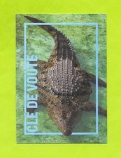 Carte incroyable animaux du monde - Crocodile du Nil - N°6