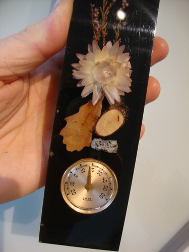Résine inclusion thermomètre - résine,