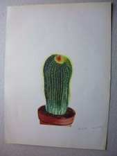 Botanique:Gravure couleur