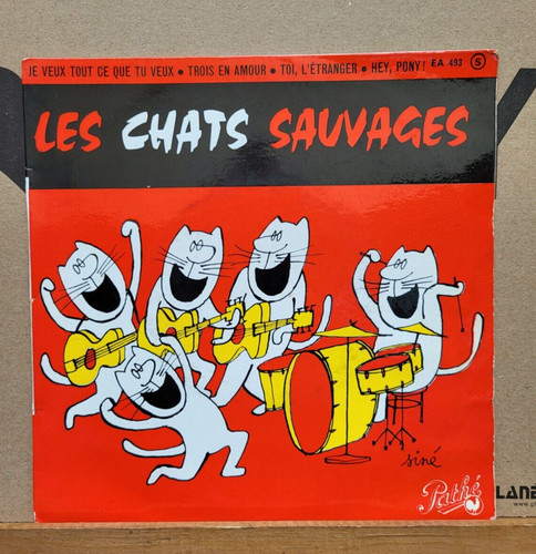 Les chats sauvages - ,