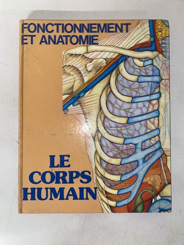 Corps humain fonctionnement - humain,
