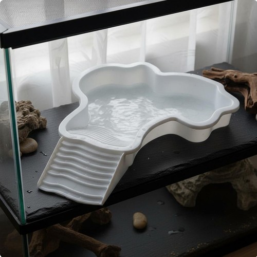 Bassin amphibie pour reptile - pour,
