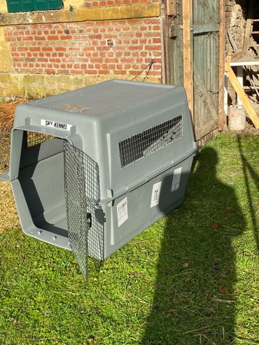 Cage transport pour chien - chien, iata