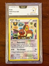 Carte Pokémon : Evoli BW94