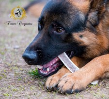 Bois de cerfs L fendu (55/70gr) <30kg FRANCE CROQUETTES