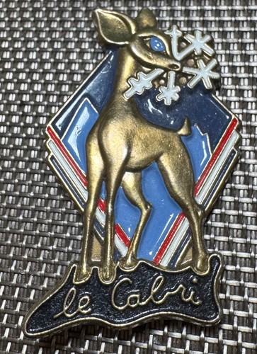 Médaille insigne ski le - de,