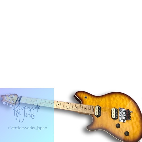 Lefty evh wolfgang special - evh,