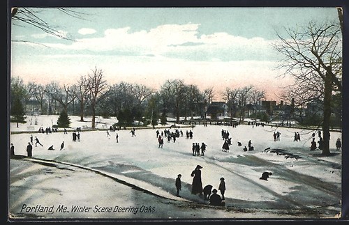 Portland scène hivernale - portland,,