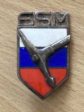 Ancien Insigne SSM Alpin