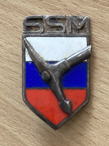 Ancien insigne ssm - ssm, alpin