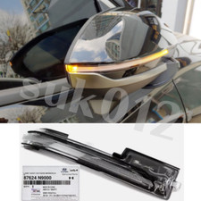 Clignotant rétroviseur porte