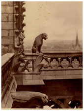 Paris, Notre Dame, gargouille  Tirage albuminé  25,5x19  Circa 1875   Ti