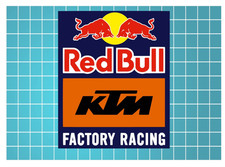 KTM RedBull Factory Racing