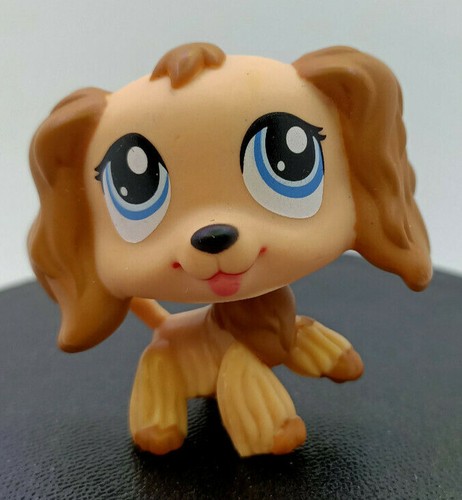 Littlest petshop chien