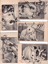 Superbe Lot de 5  CPA