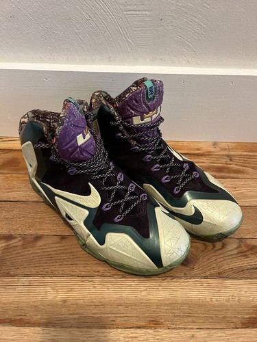 Nike lebron all star - nike, gator