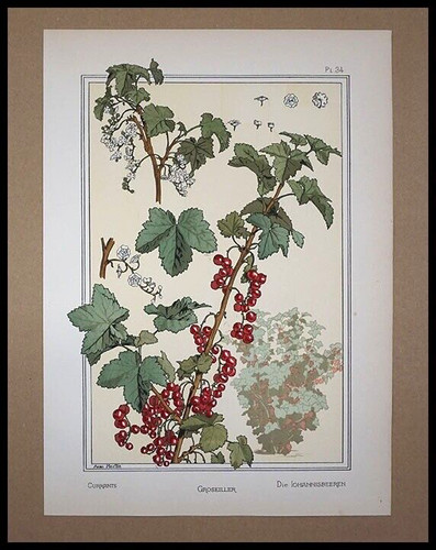 Grasset eugène - , grasset,
