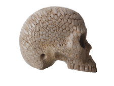 CABINET DE CURIOSITE/MEMENTO