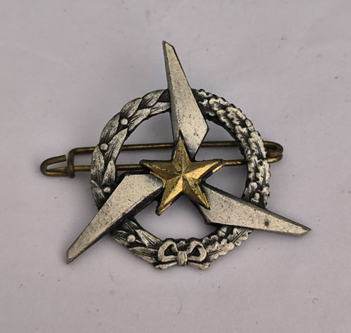 Insigne brevet pilote - insigne,