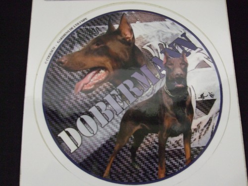 Autocollant motif chien - motif,