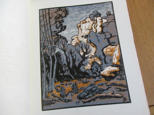 Vienne gravure sur bois - gravure,
