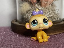 🌸Petshop singe Capucin