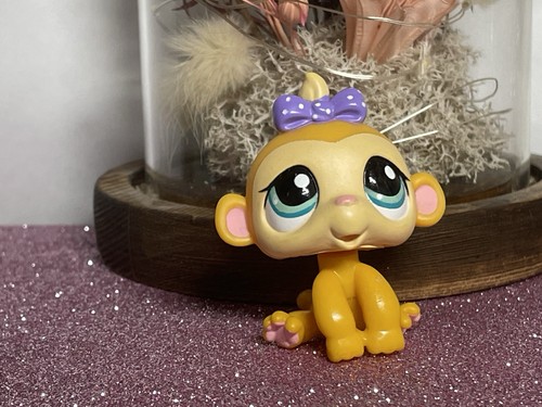 Petshop singe capucin - singe,