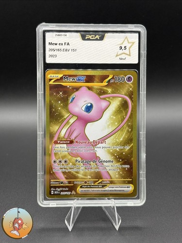 Carte pokemon gradée - carte, pca