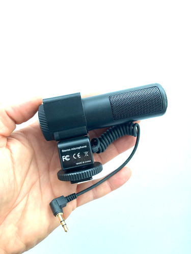 Video microphone stereo - microphone,