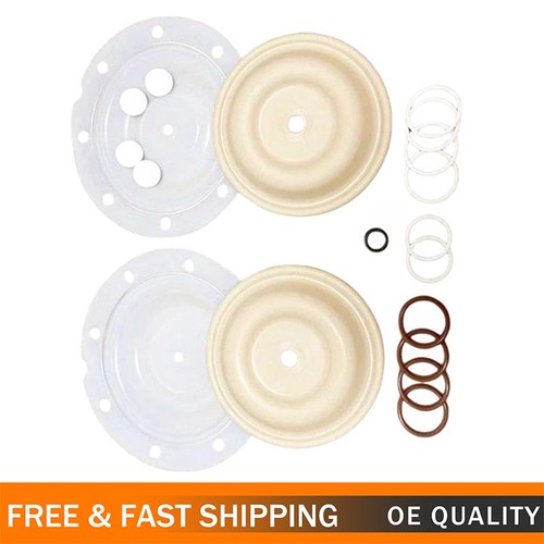 Diaphragm pump repair kit - diaphragm,