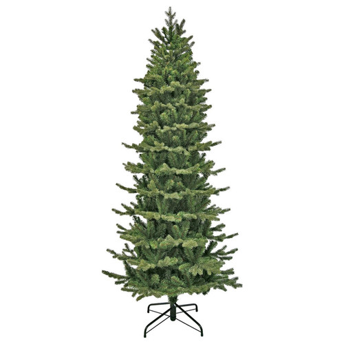 Triumph tree sherwood étroit - triumph,