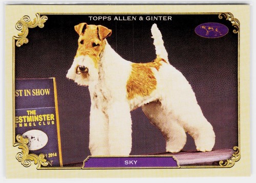 2024 topps allen ginter - 2024,