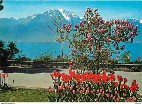 Carte postale suisse - postale,