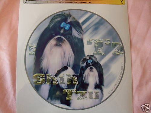 Autocollant motif chien - autocollant,