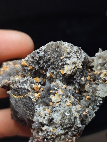 Septaria black calcite - septaria(black,