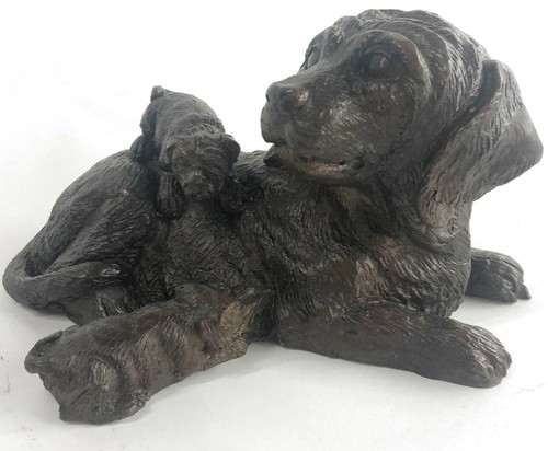 100 bronze massif labrador - massif,