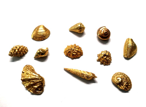 Fèves coquillages métal - 11,