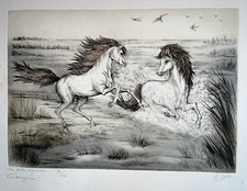 Camargue gravure eau - gravure, forte