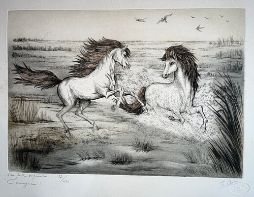 Camargue gravure eau - gravure, forte