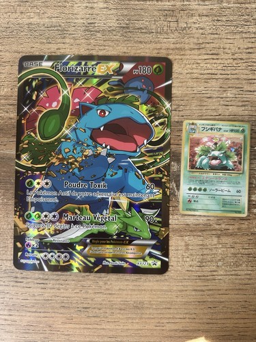 Pokémon jcc carte florizarre - pokémon,