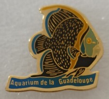 Pins Guadeloupe poisson, aquarium