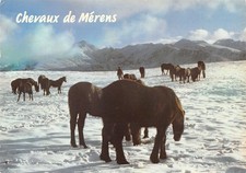 09-MERENS