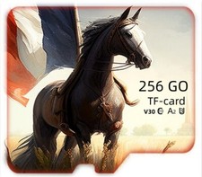 Carte Mémoire Micro sd 256 Go