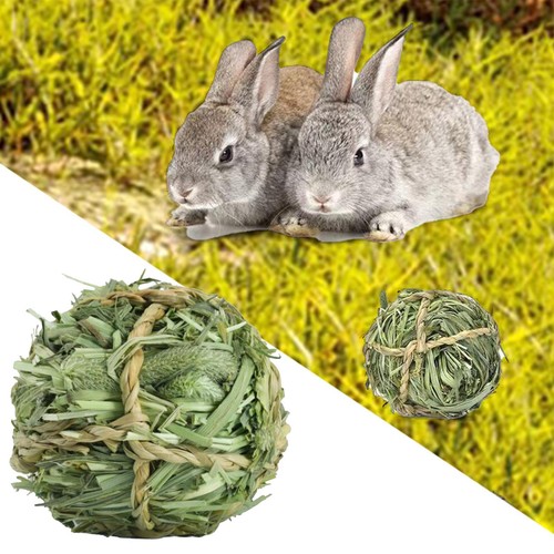 Jouets mâcher pour lapin - à,