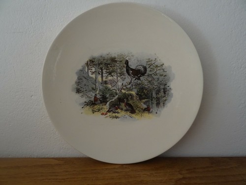 Rare assiette faïence - rare,