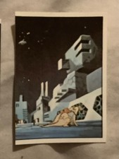 vignette panini capitaine flam