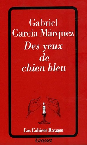 Des yeux chien - des,