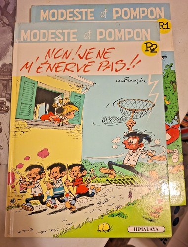 Modeste pompon r2 - r2, 2