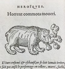 Ours en 1557 Bear Truie Ursidé Ursidae Rare Gravure Emblème XVIème